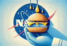 Kapky deště podle NASA nemají tvar slzy, ale spíše hamburgerové bulky