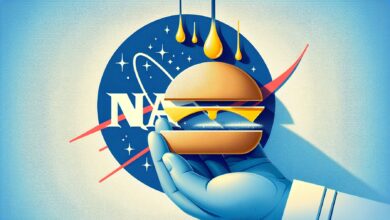 Kapky deště podle NASA nemají tvar slzy, ale spíše hamburgerové bulky