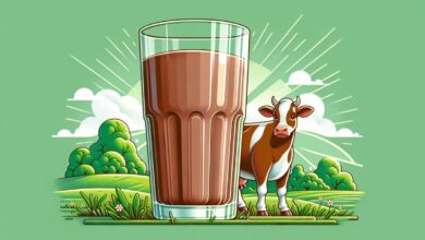 A brown cow with a chocolate milk around