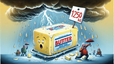 Během norské máslové krize v roce 2011 vystoupala cena na 1250 Kč za kostku