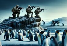 V roce 2009 hlídala jednotka sniperů skupinu australských tučňáků před predátory